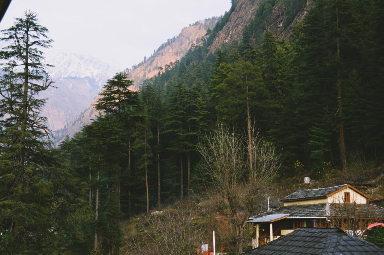 Double Room Mountain View
