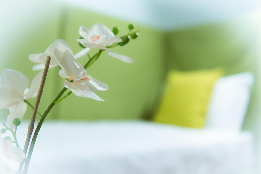 Family Apartment,112050576:JPEG