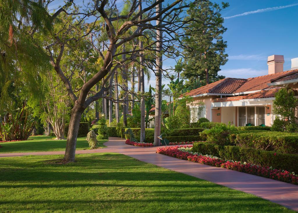 Bungalow Suite,815667542:JPEG