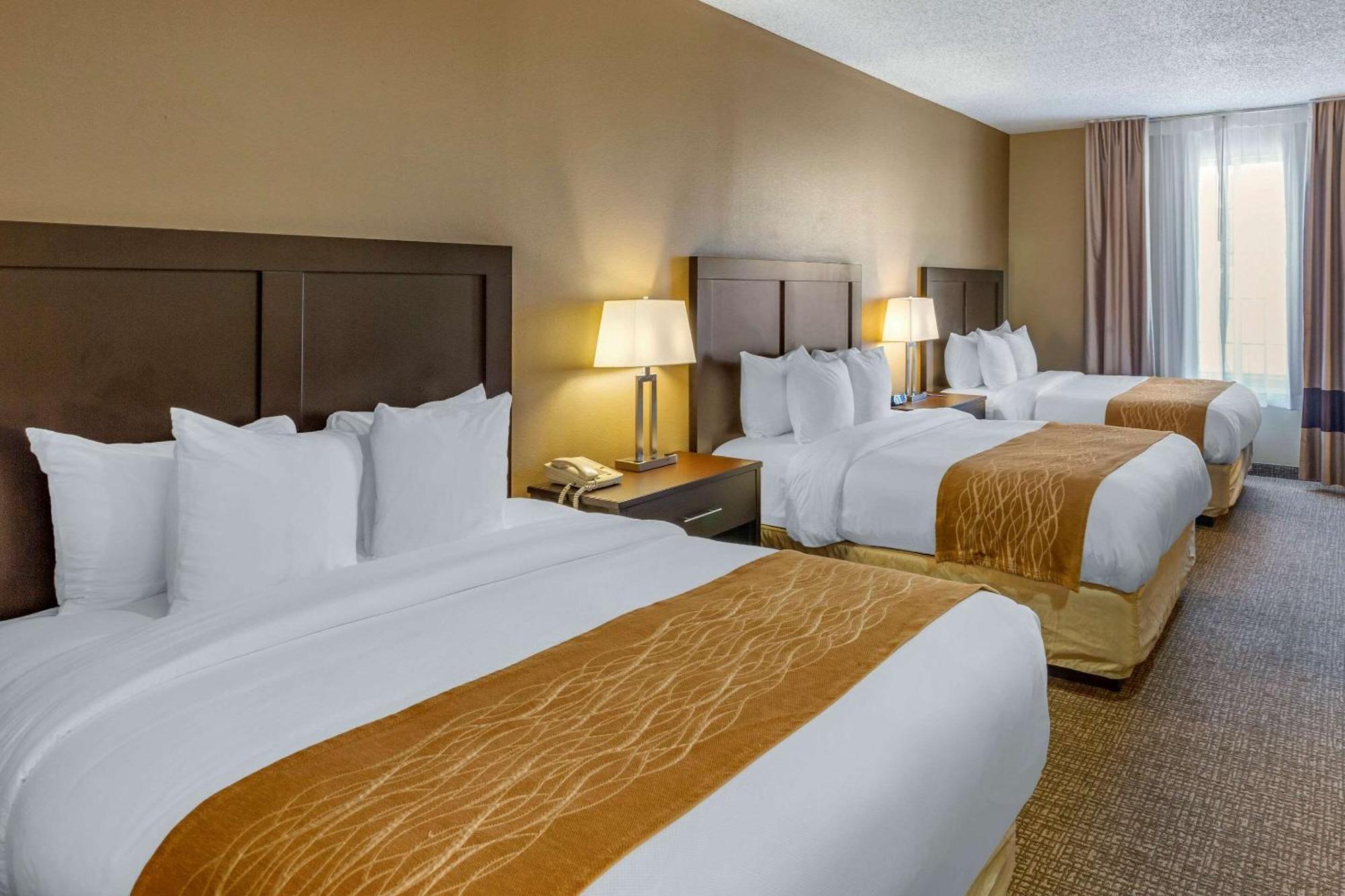 Family Room - Non-Smoking,1710066077:JPEG