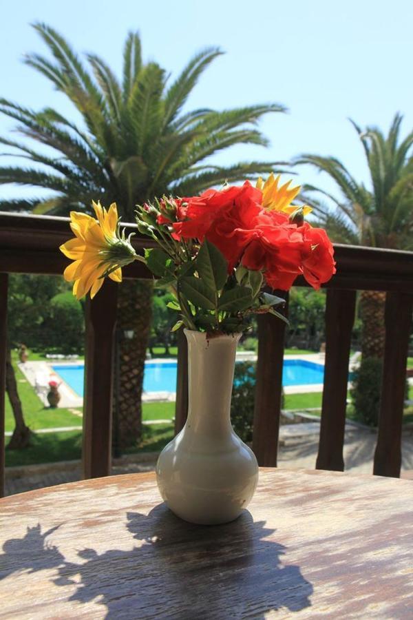 Double or Twin Room with Pool View,1148199178:JPEG