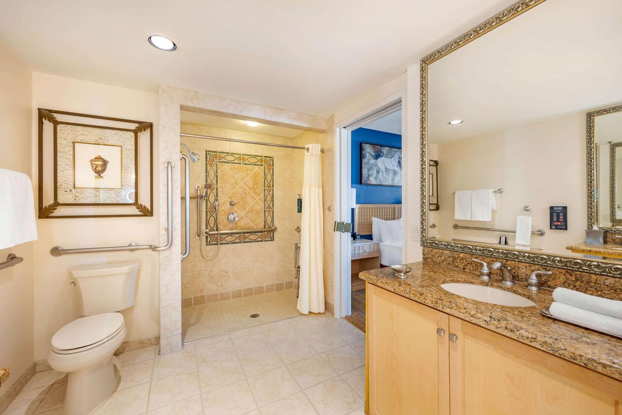 DELUXE SUITE MET 1 SLAAPKAMER EN 1 KINGSIZE BED MET ROLSTOELTOEGANKELIJKE DOUCHE