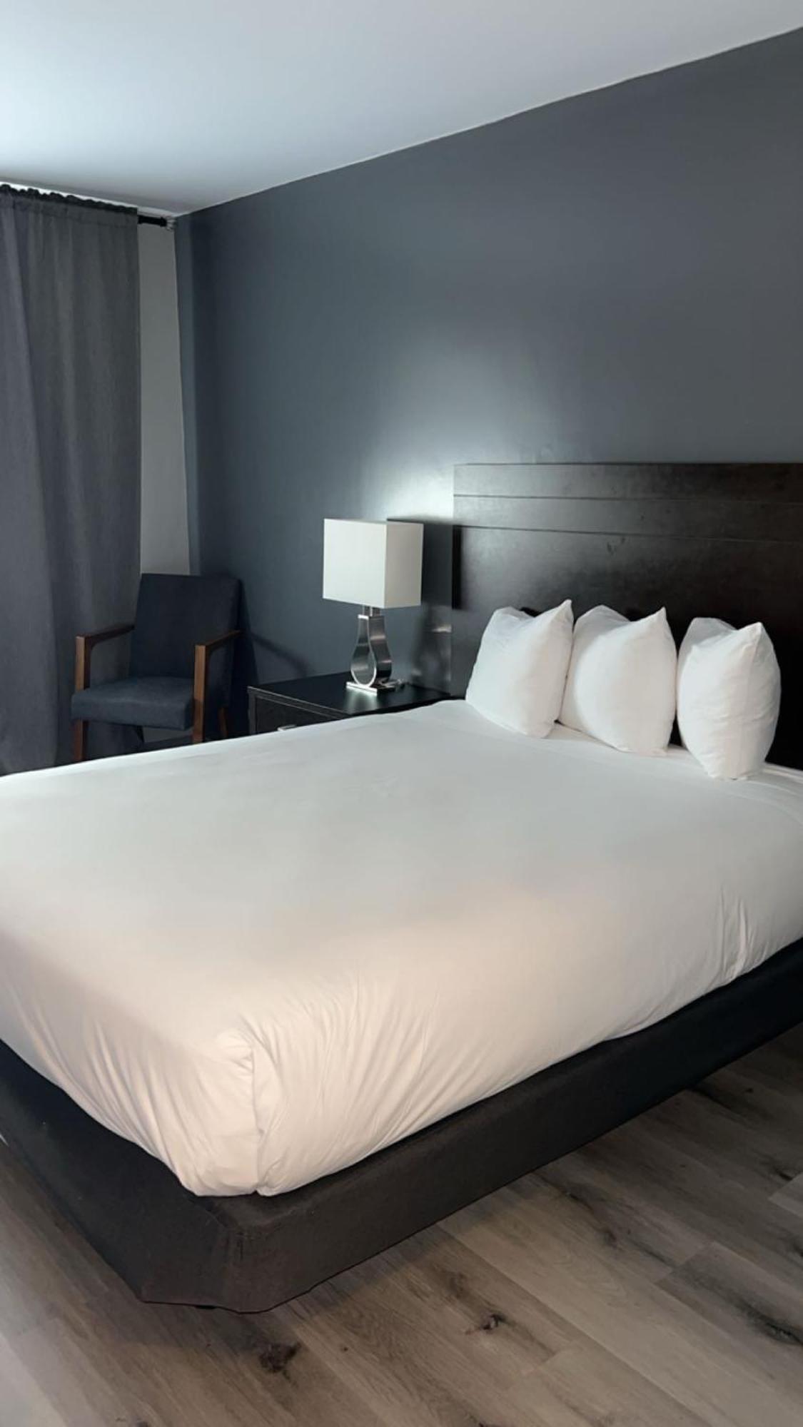 Standard Room, 1 Queen Bed,1586838061:JPEG