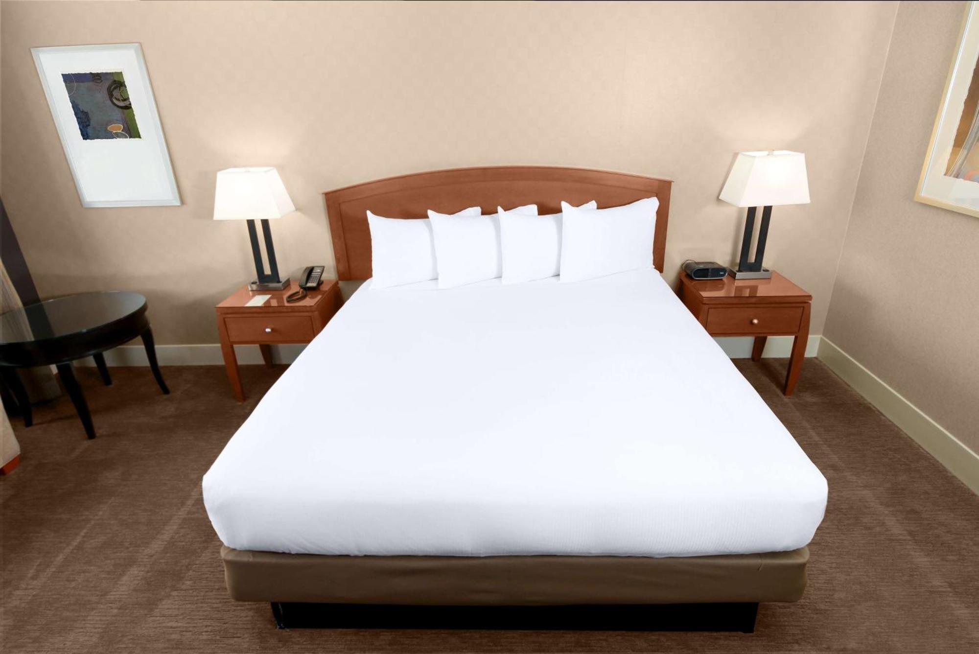 Skyline View - One King Bed