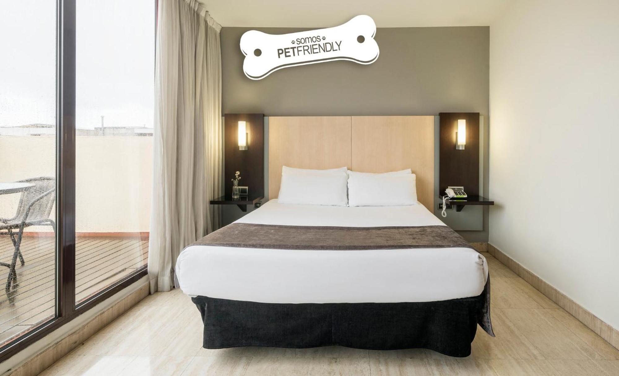 Double Room Pet Friendly,1709673729:JPEG