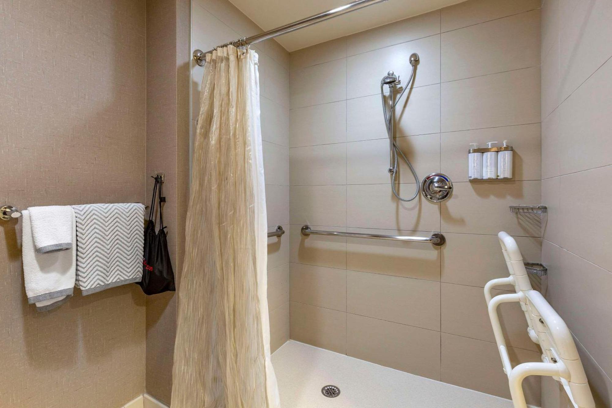 King Room Accessible or Non Smoking