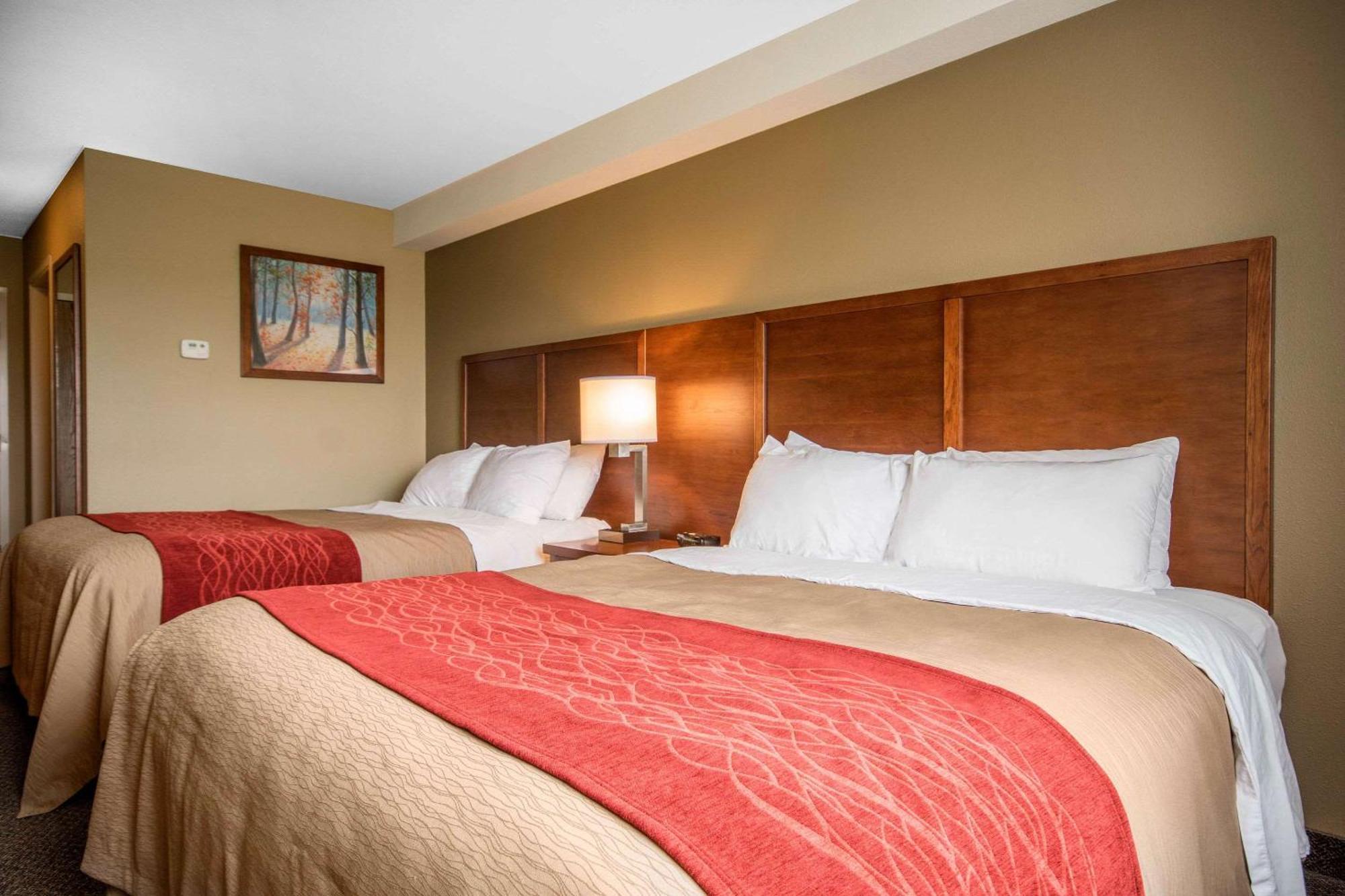 Queen Room with Two Queen Beds - Non-Smoking,1632214788:JPEG
