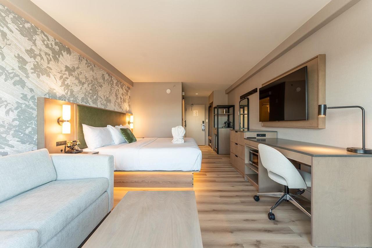 Executive King Room,1649895084:JPEG