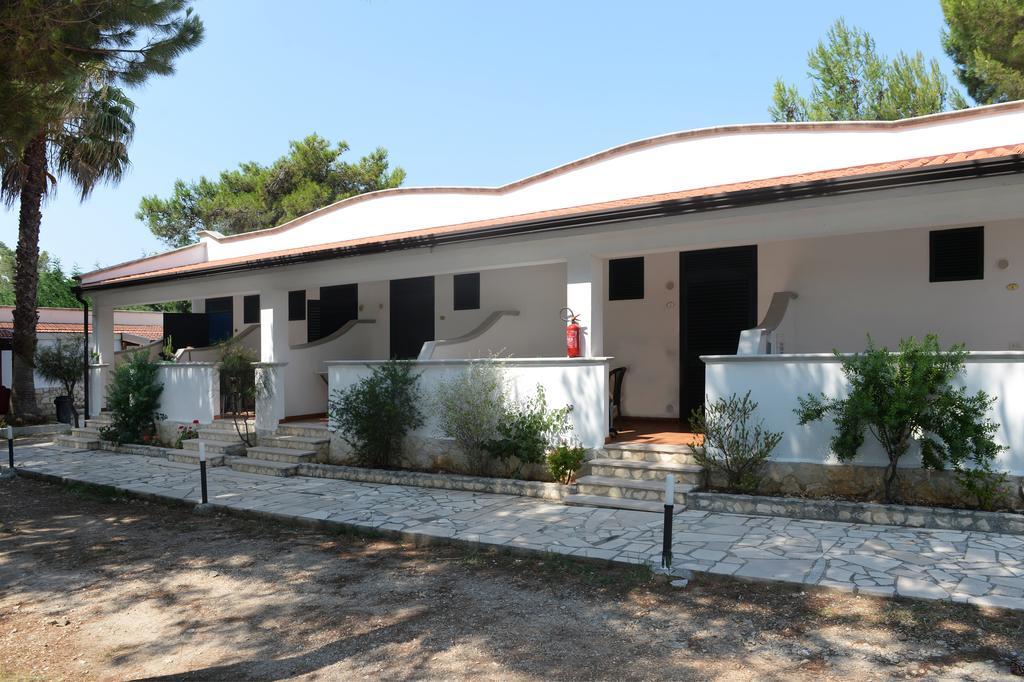 Studio,227923970:JPEG