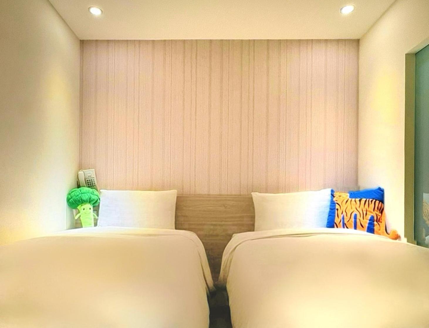 Exquisite Twin Room No Window
