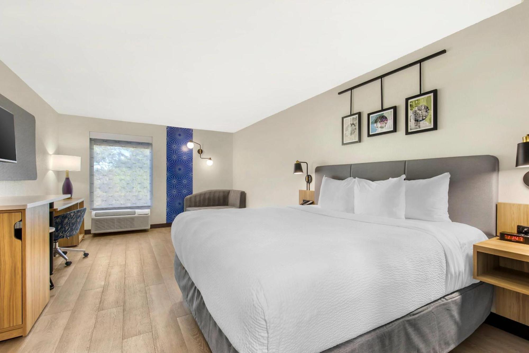 King Room with Roll-In Shower - Disability Access/Non Smoking,1717090045:JPEG