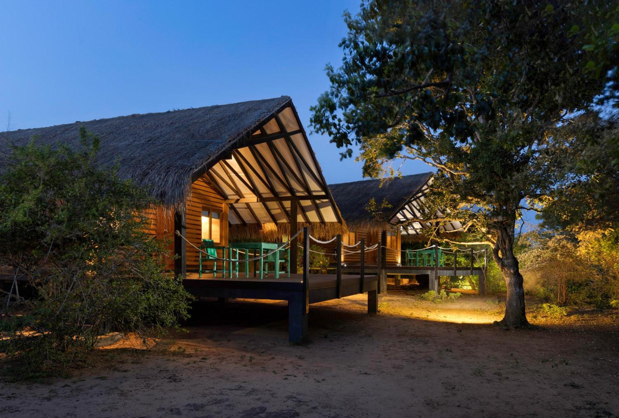 Jungle Dwelling,1742828397:JPEG