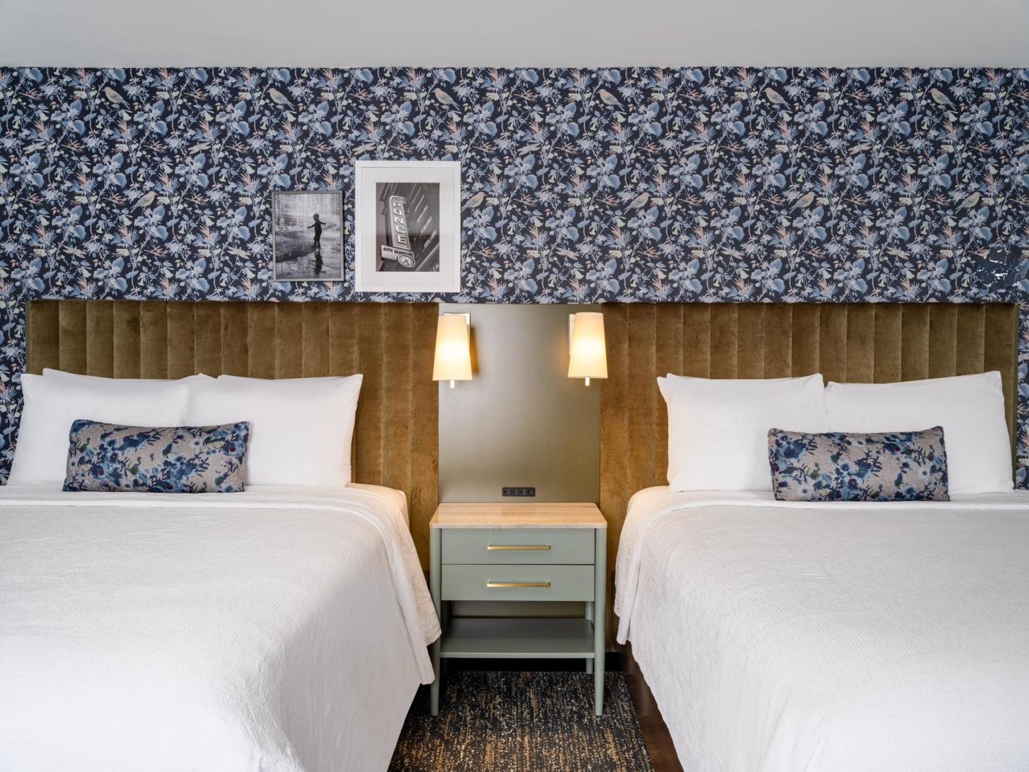Darwin Queen Suite