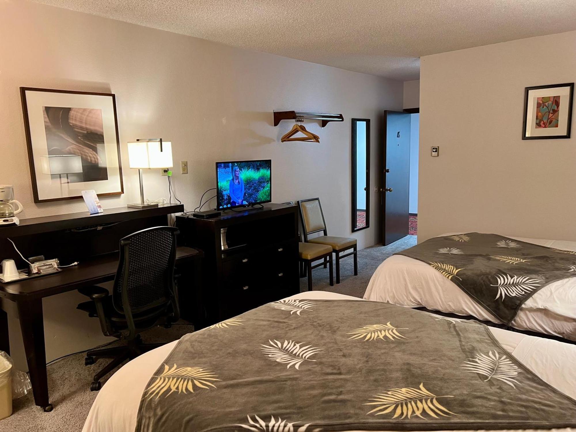 Queen Room,1765589579:JPEG