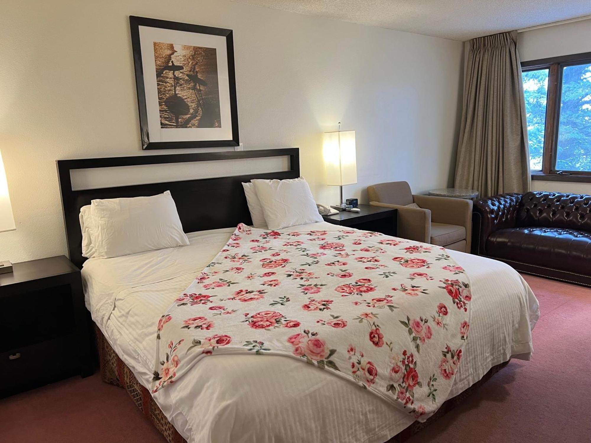 Deluxe King Suite