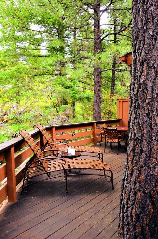 Two-Bedroom Villa Forest View