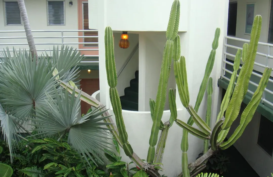 El Patio Motel-1