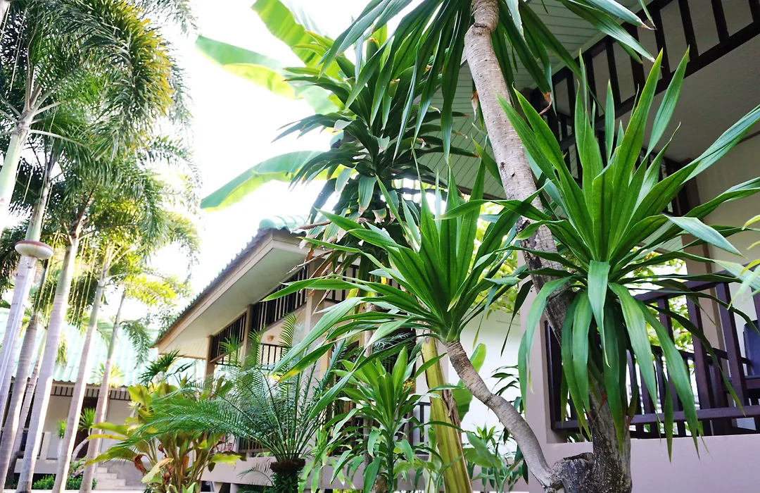 Lamai Inn 99 Bungalows-1