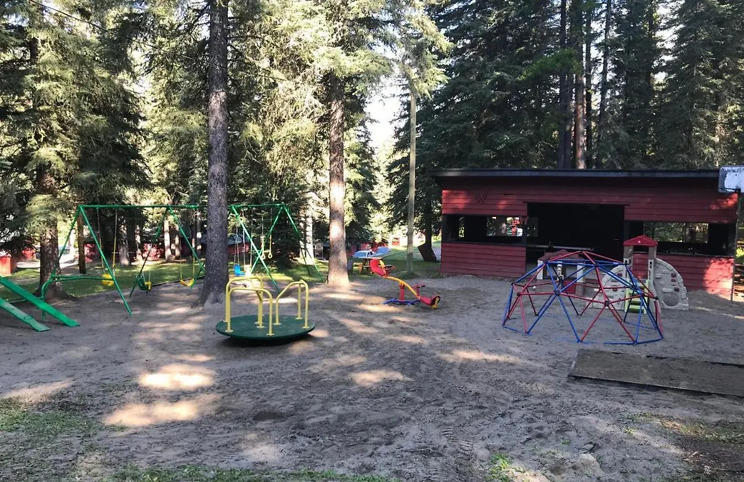 Miette Hot Springs Bungalows-1