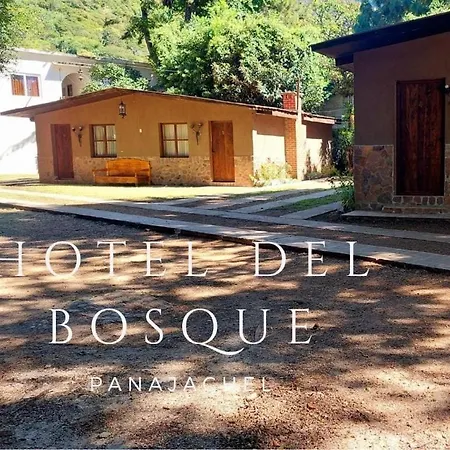 Hotel del Bosque-3