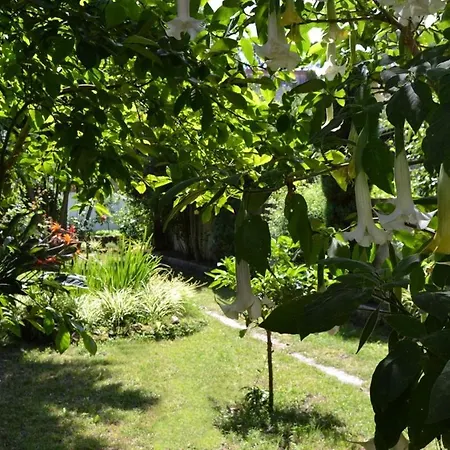 Hotel Amandi-2