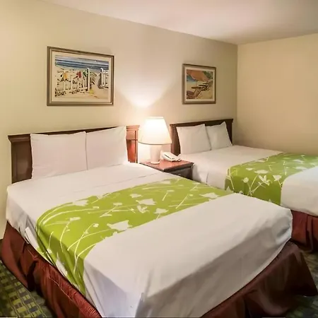 Quality Inn Kissimmee West - Lake Buena Vista South-3