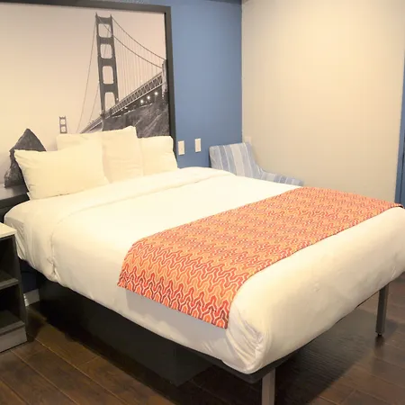 Signature Inn San Francisco Marina District-2