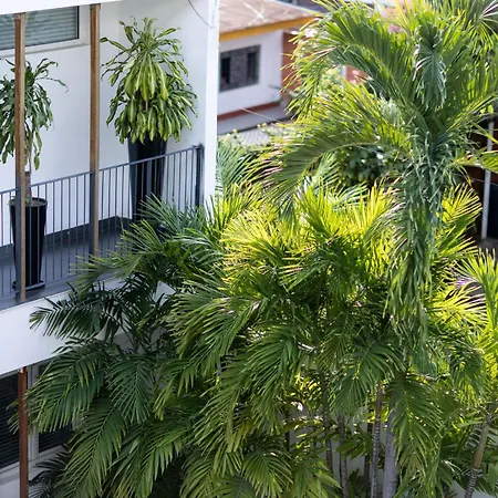 Tucan Suites Tarapoto - Hotel Asociado Casa Andina-3