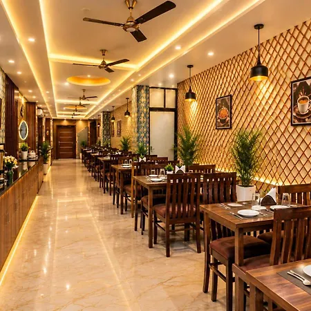 Hotel Hsp Suites - Near Igi Airport, New Delhi-3