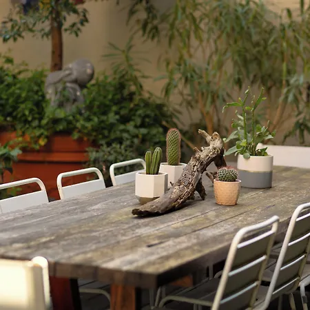 Eco Urban B&B-3