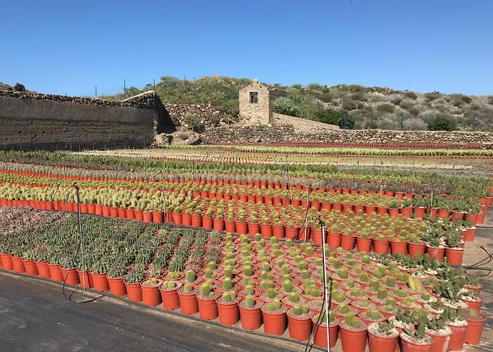 Finca La Punta