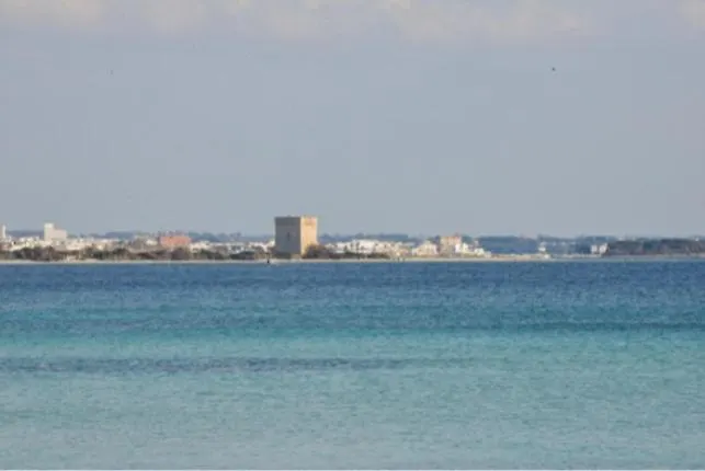 Salento D' Amare