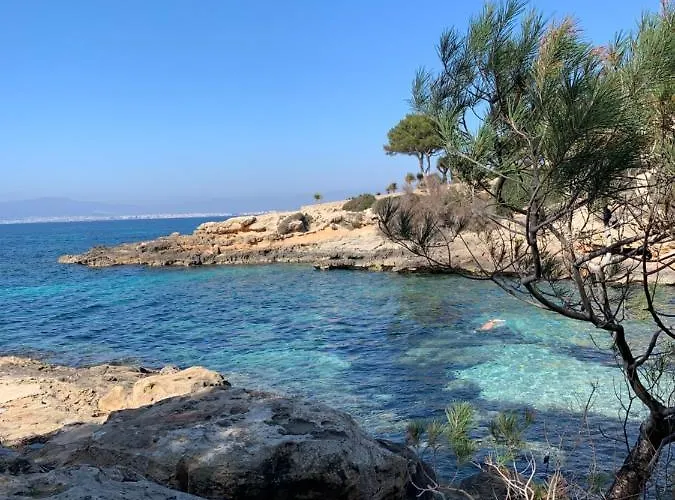Palma Bay Front Line