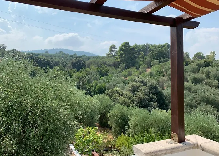 Casa del gelso