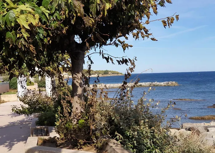 Villa Le Sud