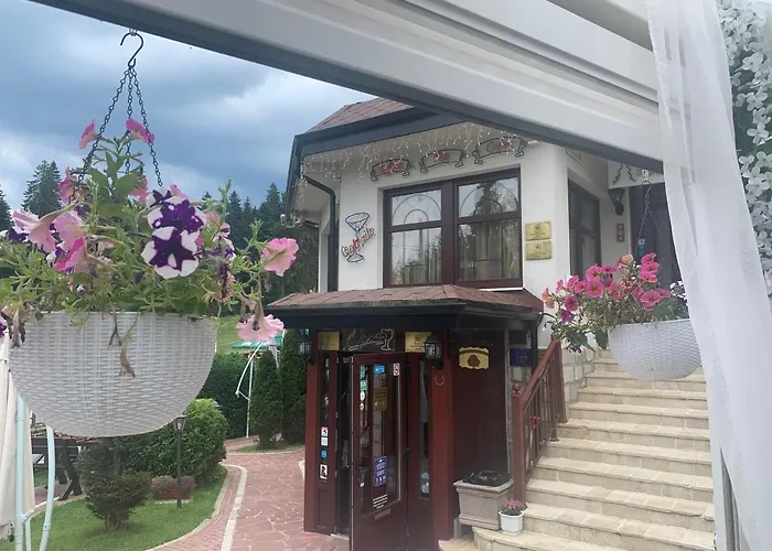 Alpin Borovets, Алпин Боровец
