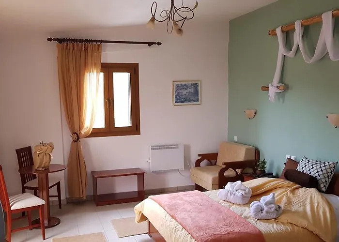 Hotel Metoxi