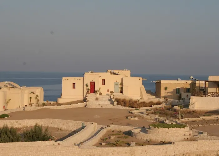The Oasis
