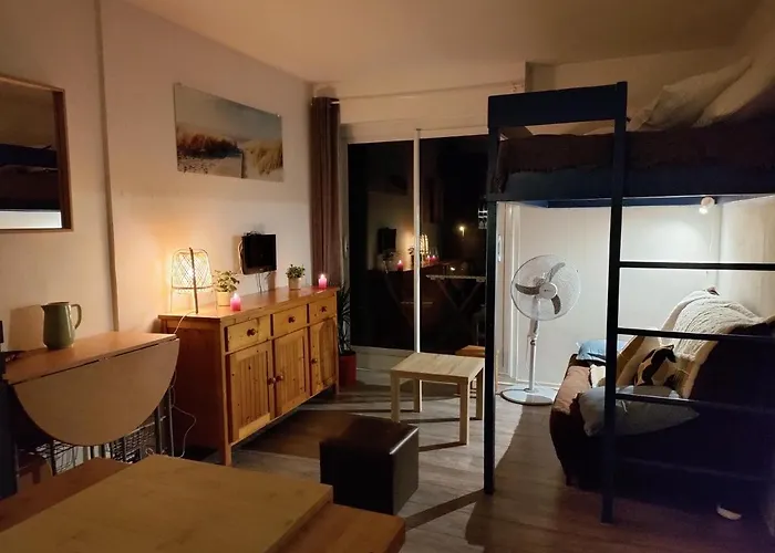 studio à l'océan au dessus des pins (plage&commerces à pied)