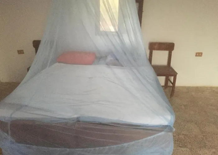 Deep South Eco-Lodge