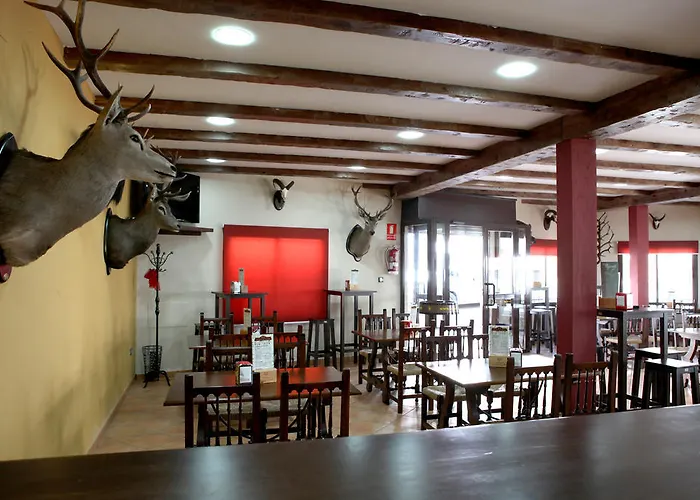 Hotel Rocio