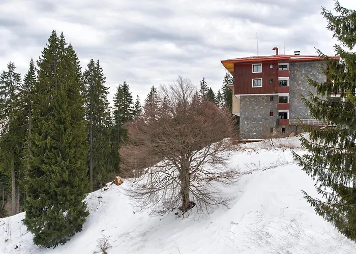 Kamena Pamporovo