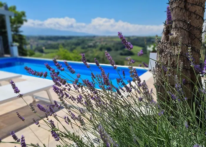 Il Nido B&B