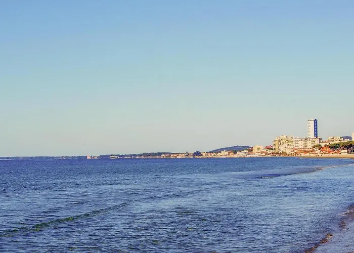 Stella Marina