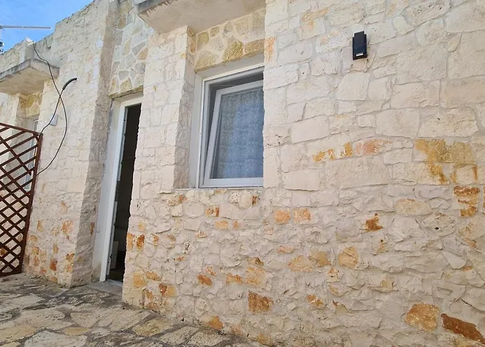 Musa Balbisiana Casa Olea