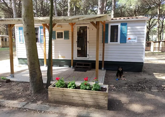 Mipro Mobilhome 5