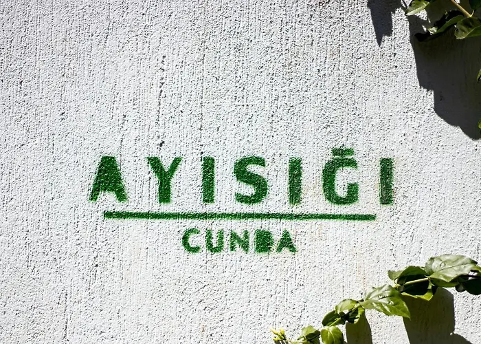 Ayisigi Hotel