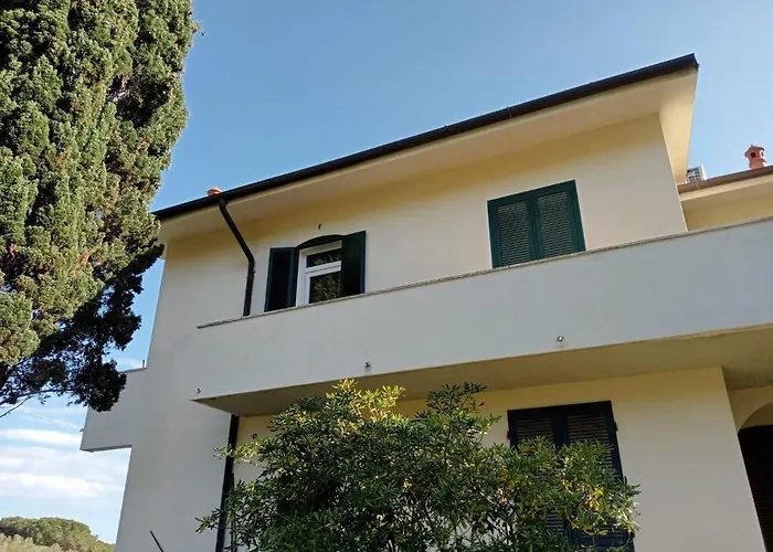 Riccio di Mare