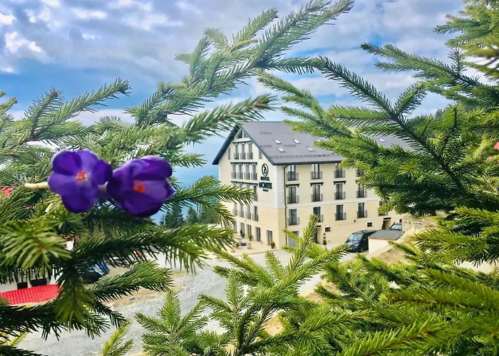 Montis Hotel & Spa