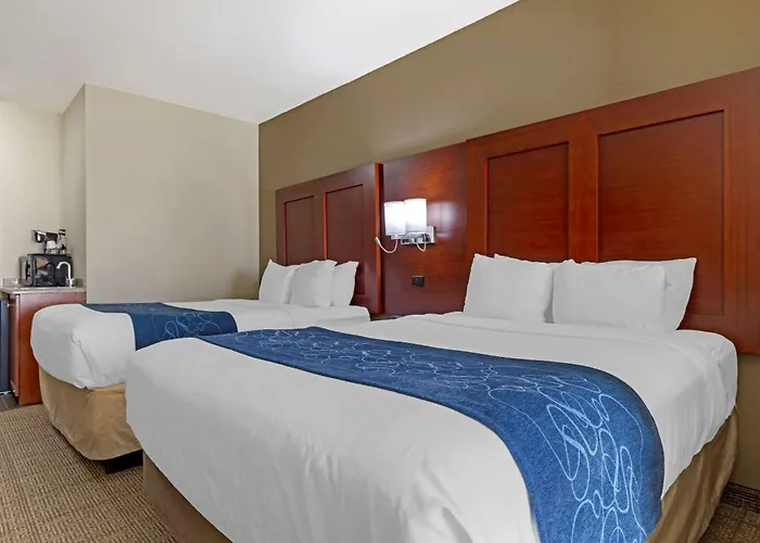 Comfort Suites Gainesville